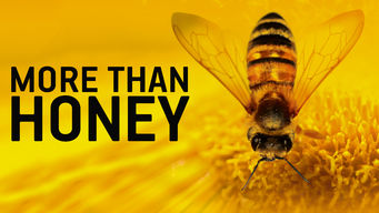 More than Honey